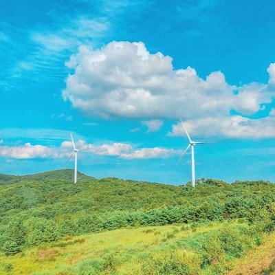 卡片三国志最新版下载