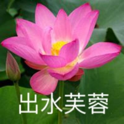 玉兔斩神传奇游戏下载